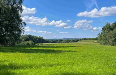 Gdzieś Na Kaszubach - Domek z balią otoczony piękną naturą - Foto 23