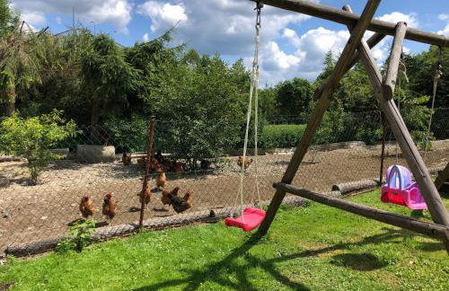 Agroturystyka-Wisłocka - Foto 37