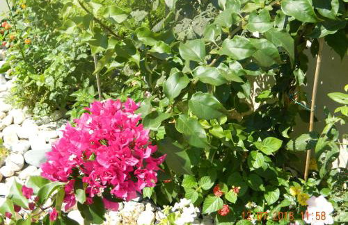 Amari Hotel - Photo 28