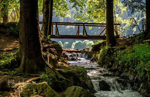 Fewo Turmblick - Foto 22