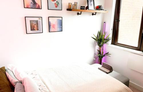 Fabulous modern North London apartment - Foto 14