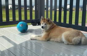 Lodge 17 St Andrews - Foto 22