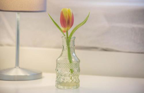 Ideal für die Entdeckerfamilie - Foto 8