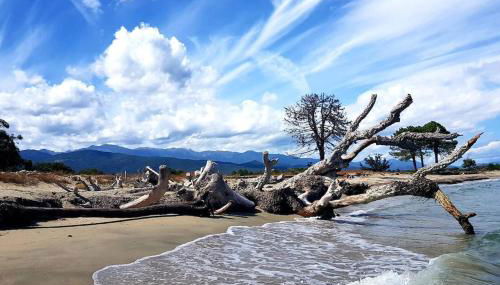 Maison de vacances - Foto 4