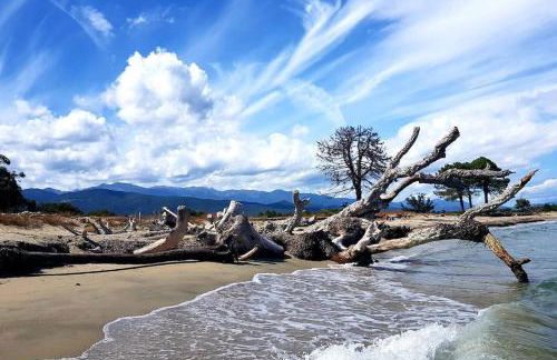 Maison de vacances - Foto 4