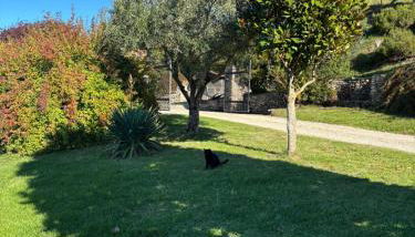 Agriturismo la Tana - Photo 4