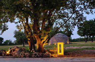 Terre di Sveva - Foto 34