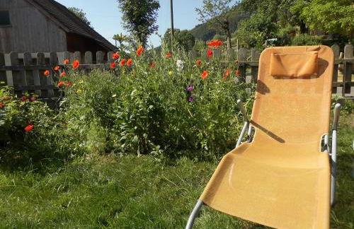 Urlaub auf dem Hänslehof - Foto 23