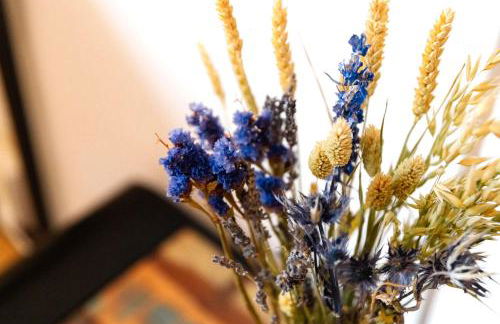 Studio für 2 Gäste - Bocholt Zentrum - kostenloser Parkplatz - Foto 5