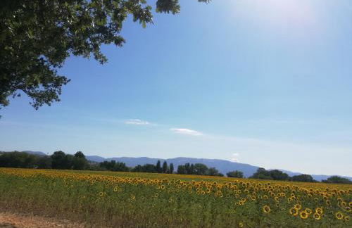 Casa Vacanze "Dimora Quercia" - Villino "Quercia" - Foto 37