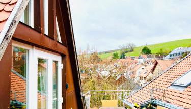 Schönster Blick auf Oppenheim! - Foto 2