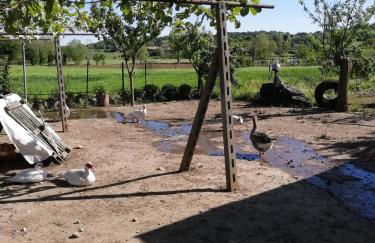 Agriturismo Nuvolino - Foto 71