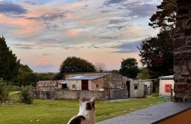 Torridge House Cottages - Foto 30