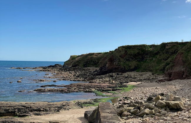 Hookless Holiday Homes - Foto 15