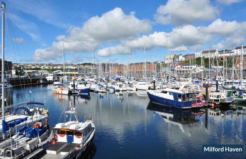 Shearwater - Foto 35