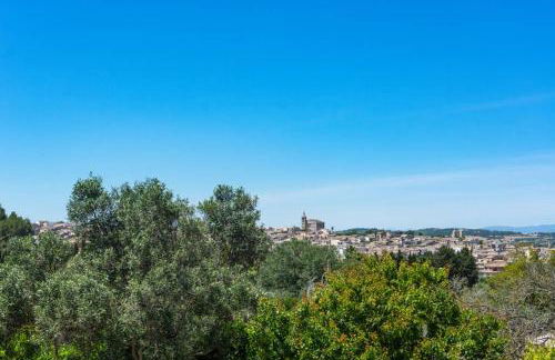 Molí D,en Barret - Foto 20