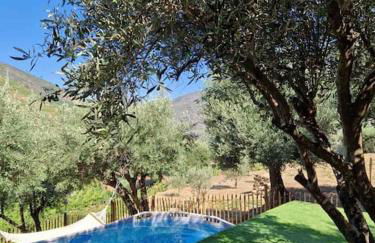 maison du olival - Photo 32