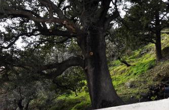 Villa Lakki Heated round pool Jacuzzi - Foto 36