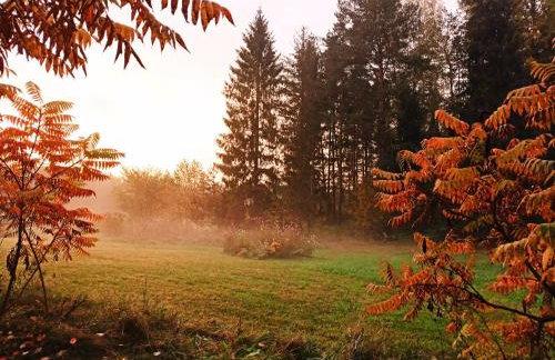 Butterfly Factory - Foto 32