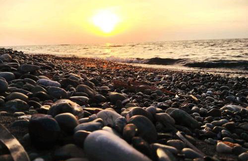 The Citrus House - Foto 39