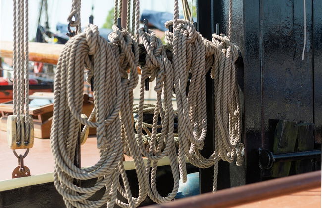 Boat in Leiden Near City Center & Museums - Foto 33
