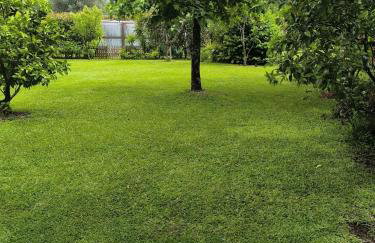 Casa de Reborido - Foto 49