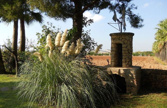 Agroturismo Finca Son Amora - Foto 26