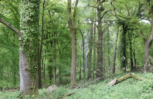 The Old School - Photo 25