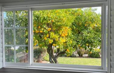 10 mins to SJC Fastest 2 Gigabit WiFI Open Floor BBQ Grill Fireplace Fenced Yard Pet Friendly - Foto 18