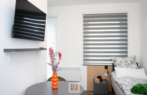 Studio-Apartament free Parking Domus Kushal - Foto 8