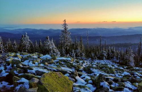 Komfort-Fewo Sylvia - Foto 24