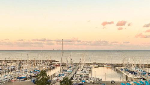 Fördemuschel mit Meerblick - Foto 5, Other
