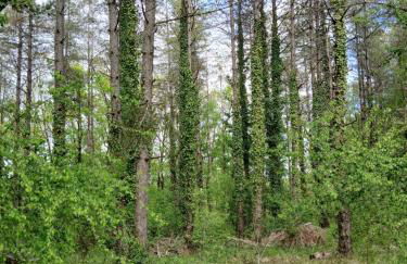 Les Gîtes de La Moure Basse - Foto 13