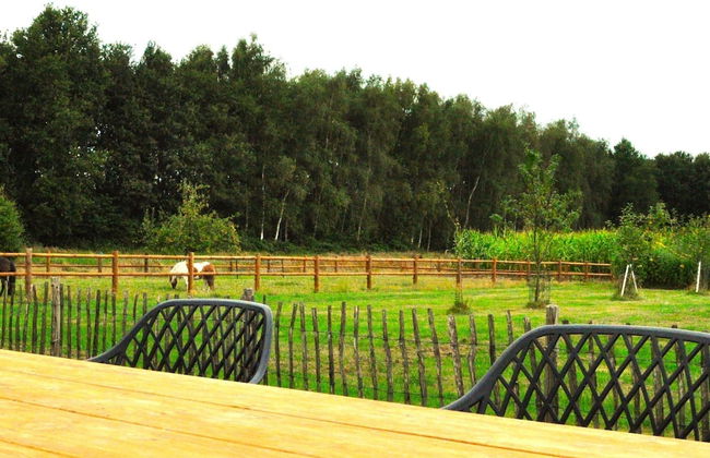 Peaceful Chalet Close to Norg - Foto 15