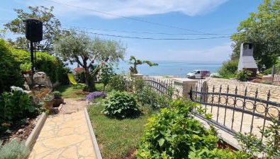 App Maria 1 - Foto 1