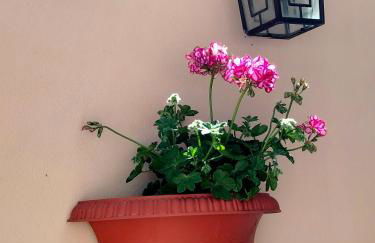 La Castellina 23 - Foto 44