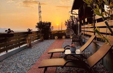 ΛΩΤΟΣ - Photo 43