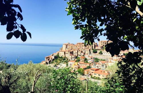 le case dei fiori - Foto 75