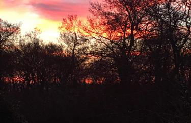 Romantic Cottage with Wood-fired Hot tub and Outdoor Pizza Oven - Foto 43