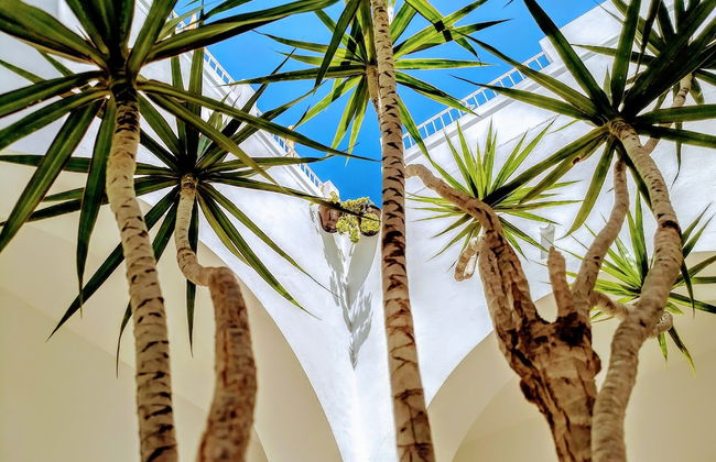 Vejerísimo Casa Boutique con parking privado - Foto 35