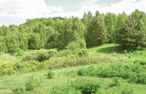 Ostoja Szmana - Foto 42