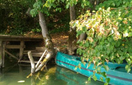 Kuća za odmor Zeleni biser - Foto 3