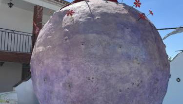 Apartamento de Mia - Foto 5