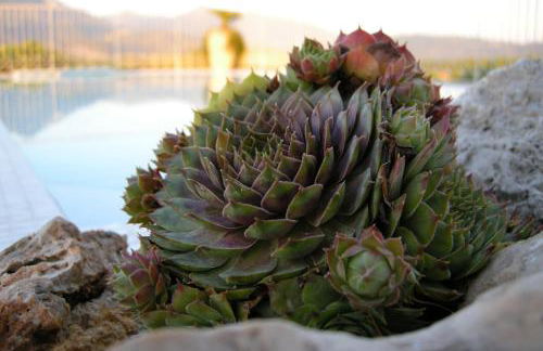 Residence Verdeluna - Foto 50