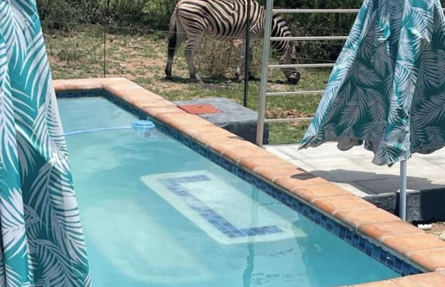 Kings View Exclusive Villas - Foto 41