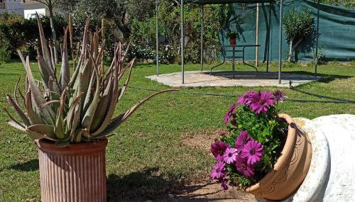 Itea's Garden House - Photo 3, Garden view