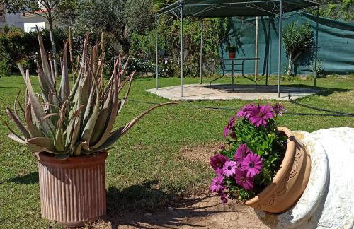 Itea's Garden House - Photo 3