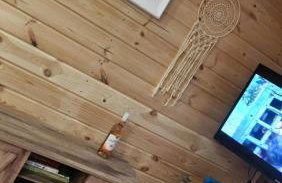 Ranczo na Kaszubach - Foto 40