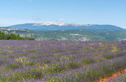 La Petite Maison - Foto 9