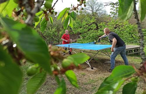 La terra dei ciliegi tra l'Etna e il mare di Taormina - Foto 9